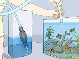 Nitrosomonas (aob), nitrobacter, and nitrospira (nob's) are chemoautotrophic bacteria that contribute to ammonia and nitrite removal. 3 Ways To Lower Ammonia Levels In Your Fish Tank Wikihow