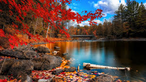 Pin On Nature Wallpapers 4k