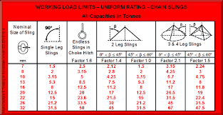 grade 80 grade t and stainless steel chain slings 2 leg 4