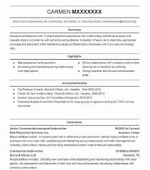 Whenever a job seeker applies for a medical writer role in a new company, he/she must signal their value through multiple mediums. Commercial Insurance Underwriter Resume Example Company Name Chicago Illinois