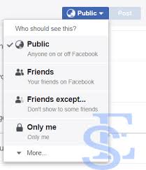 How to limit sharing on facebook? Make Facebook Post Shareable Share Button On Fb Easy Step Guide