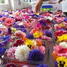 Our edible flowers and unusual produce have even been known to play cameo roles on masterchef nz and my kitchen rules nz. Edible Flower Trade Coming Up Roses Rnz