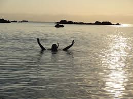 Snorkeling at Masoala Marine Park - Picture of Dounia Forest Lodge,  Maroantsetra - Tripadvisor