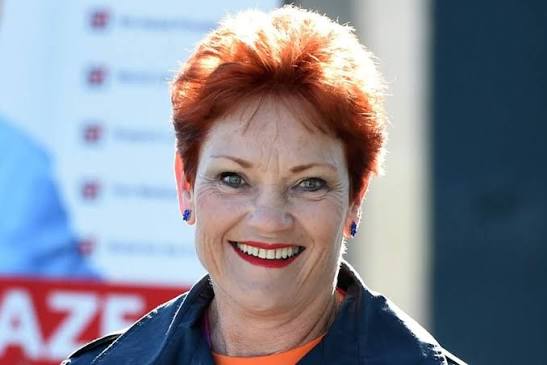 Election 2016: Pauline Hanson's One Nation, Nick Xenophon Team big winners  in election funding - ABC News