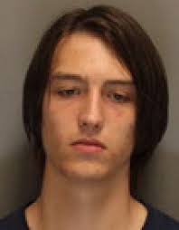 East Cobb Arrest Reports, June 25-29