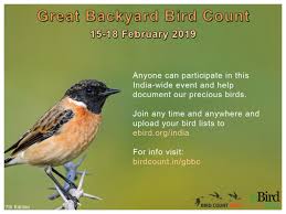 Maybe you would like to learn more about one of these? Great Backyard Bird Count 2019 Bird Count India