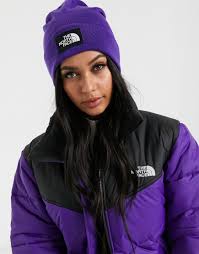 Black And Purple North Face Jacket The North Face Dock Worker Recycled Beanie In Purple Black Modesens In 2020 Purple North Face Jacket Purple And Black North Face Jacket