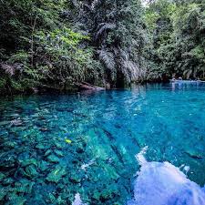 My trip biduk biduk labuan. Traveling Indonesia On Instagram Danau Labuan Cermin Letstravelindonesia Travelingindonesia Location Biduk Biduk Villa East Kalimantan Labuan Indonesia