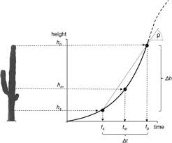 On The Age And Growth Rate Of Giant Cacti Radiocarbon