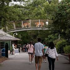 There is a $6 per vehicle fee for guest parking in the zoo lot. Visit Philadelphia Zoo