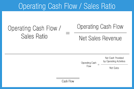 Cash Flow Ratios Accounting Play