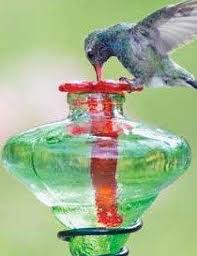 Maybe you would like to learn more about one of these? Mini Blossom Hummingbird Feeders Staked Humming Bird Feeders Glass Hummingbird Feeders Hummingbird
