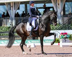 For Usa 2020 Was Building Year For Future But Olympic Delay Gives New Seasoned Partnerships Time To Be Ready For Tokyo In 2021 Dressage News
