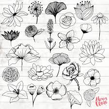 The curvy leaves and design add to its beauty. Flowers Clipart 23 Hand Drawn Floral Cliparts Realistic Floral Logo Art Flower Logo Elements Flower Vector Acgabw19 In 2021 Flower Drawing Flower Sketches Drawings