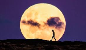 Perigee 01:08:19 wib dan bulan purnama 09:34:54 wib. Jom Saksikan Sendiri Keindahan Fenomena Supermoon Bulan Paling Dekat Dengan Bumi Malam Ini