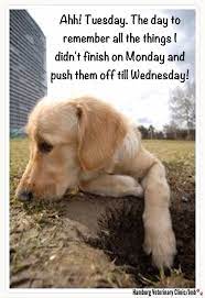 We did not find results for: Pin On Tuesday