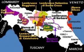 Extending from the adriatic coast in the east, to the border of the mediterranean ligurian region in the west, emilia romagna is a large, central italian region focused on a wide array of. Italy Wines Of Emilia Romagna