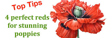 Image result for Poppy Red 1998 AAV