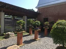 The monastery has always been open to the public, but in 2011, the monks incorporated a historic barn into a monastic heritage center. The Bonsai Collection At The Monastery Of The Holy Spirit Conyers Georgia Adam S Art And Bonsai Blog