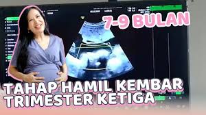 Problems arise because andini also asks welly to marry on the day of. Download Vlog Bumil Kembar 9 Bulan Mp4 Mp3 3gp Mp3 Mp4 Daily Movies Hub
