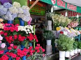Many travellers simply pass through on their way to the perhentian islands, but those who spend a few days in kb have the chance to go to some of the museums mentioned below. Kedai Bunga Segar Di Sungai Petani Flower Delivery Sungai Petani Flower Shop Sungai Petani Pickupflowers Sungai Petani Is Kedah S Largest Town And Is Located About 55 Km South Of Alor