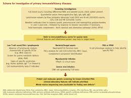 Maybe you would like to learn more about one of these? The Immunocompromised Patient Primary Immunodeficiencies Medicine