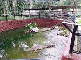 Tempat menarik di kemaman yang seterusnya adalah pantai kerteh yang terletak 39 minit dari bandar chukai. Tempat Menarik Di Kemaman Hj Yusof Homestay Kemaman Facebook