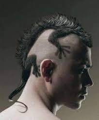 Avant Garde Funky Lizard Haircut Lizard Haircut Crazy Hair Creative Hairstyles