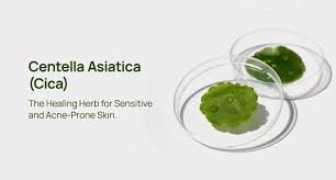 Image result for Centella asiatica