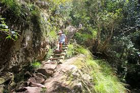 If you plan to hike to the memorial or explore the trails surrounding the site. Beautiful Hikes In Cape Town Best Trails In The City Stingy Nomads