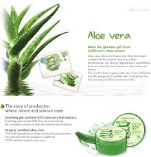 Sunlight extra nature combines the natural goodness of mineral salt and aloe vera with sunlight's degreasing power to remove grease. 10 Ide Nature Republic Aloe Vera Terbaik Aloe Vera Perawatan Kulit Kulit