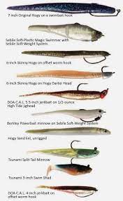 Salt Water Fishing Sport Fishing For Entertainment Is A Wonderful Hobby Whether Or Not You Might Be With Family O Conseils De Peche Peche Leurre Peche Du Bar
