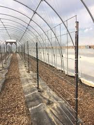 Plan for an extended season Trellis Solultions Carolina Farm Stewardship Association