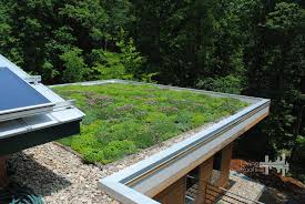 Residential Green Roof Green Roof Design Roof Design Green Roof