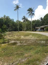 Sebuah perkebunan jagung mempunyai luas 2,5 hektar. Tanah Pertanian Tanah Pertanian 5 Ekar Kg Tanjung Batu Nenasi Pekan Pahang Pekan Pahang Dijual Rm 200 000 Oleh Fazielawatie Ishak 29357001