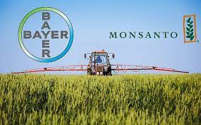 Chinese spies infiltrated monsanto, stole gmo seeds and software algorithms. Bayer Raises Offer To Buy Monsanto Potatopro