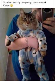 Pin On Jellicle