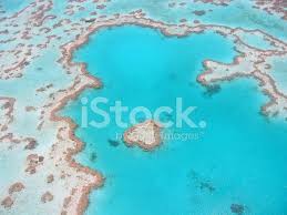 Flug mit air whitsundays über das great barrier reef. Das Herz Australiens Great Barrier Reef Von Oben Stockfotos Freeimages Com