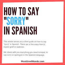 The Many Ways To Say Sorry In Spanish Ways To Say Sorry Say Sorry Sayings