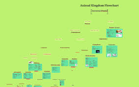 Animal Kingdom Flowchart By Emily Bennett On Prezi