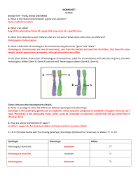 Some of the worksheets for this concept are amoeba sisters answer key, amoeba sisters video recap alleles and genes, amoeba sisters genetic drift answer keys, multiple allele work answers, amoeba sisters meiosis work answers, amoeba sisters video recap, genetics. What Is A Gene Allele And Chromosome