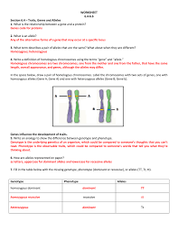 Worksheets are amoeba sisters answer key, amoeba sisters video recap alleles and genes, amoeba sisters video recap dna chromosomes genes and, biology 1 work i selected answers, amoeba sisters video recap introduction to cells, cell reproduction and genetics packet answers. What Is A Gene Allele And Chromosome