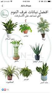 pin by تذكار كايزن on زراعة in 2021 container herb garden flowering house plants vegetable garden diy