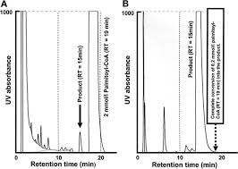 Most recently, huang rui has been considered the major vocal advocate of the 798 art zone in beijing. Development Of A New Enzymatic Diagnosis Method For Very Long Chain Acyl Coa Dehydrogenase Deficiency By Detecting 2 Hexadecenoyl Coa Production And Its Application In Tandem Mass Spectrometry Based Selective Screening And Newborn Screening In Japan