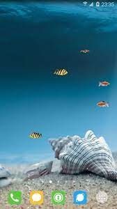 Watch a beautiful fish underwater live wallpaper which will show you some amazing underwater . Underwater World Livewallpaper Apk Download For Android