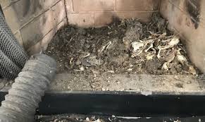 Apr 30, 2021 · steps for chimney cleaning step 1: Here S How To Properly Clean Your Chimney