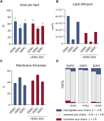 Check spelling or type a new query. Asymmetric Phospholipids Impart Novel Biophysical Properties To Lipid Bilayers Allowing Environmental Adaptation Biorxiv