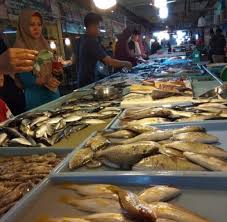 Untuk habitat dari ikan kerapu ini memiliki di bawah ini admin sudah sajikan informasi lengkapnya mengenai daftar harga ikan kerapu terbaru dan juga terlengkap berikut informasinya. Harga Ikan Kerapu Di Kepri Merosot Tajam Barakata Id