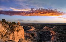 Check spelling or type a new query. Explore Usa Top 10 Wildly Different Landscapes In The Usa