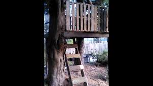I've been watching the web for pallet construction projects and i'm always impressed by the creativity and talent of the builders who have posted to the web. Turn Old Pallets Into New Tree House Youtube